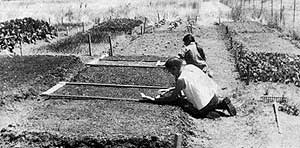 Biodynamic Farming Methods Lead to Bigger Harvests Image